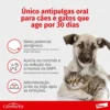 Antipulgas Comfortis 140 mg - Cães de 2,3 a 4,5Kg e Gatos de 1,4 a 2,8Kg 1 comprimido - Image 4