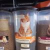 GRANEL DE RAÇÃO GOLDEN GATOS ADULTO CASTRADO SALMÃO 1KG - Image 3