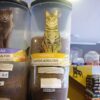 GRANEL DE RAÇÃO GOLDEN GATOS ADULTO FRANGO 1KG - Image 3