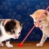 Brinquedo Patinha Pet Laser Paw para Gatos Rosa - Image 2